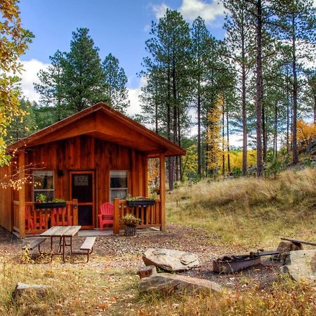 奇斯顿Yak Ridge Cabins And Farmstead By Mount Rushmore别墅 外观 照片
