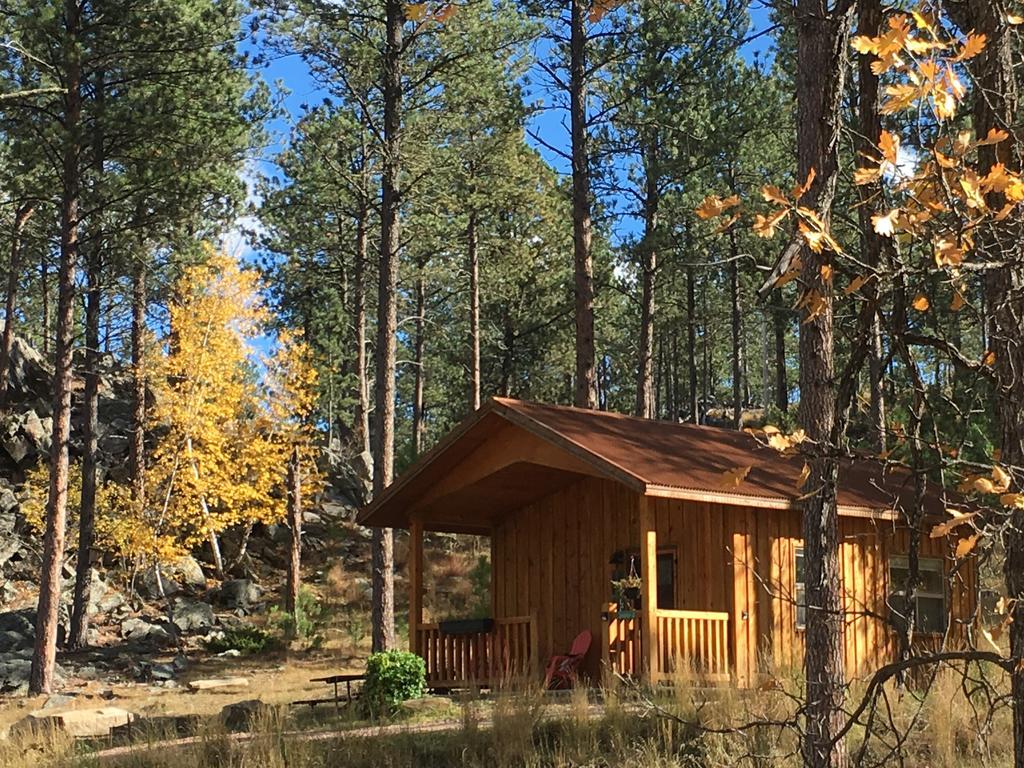 奇斯顿Yak Ridge Cabins And Farmstead By Mount Rushmore别墅 外观 照片
