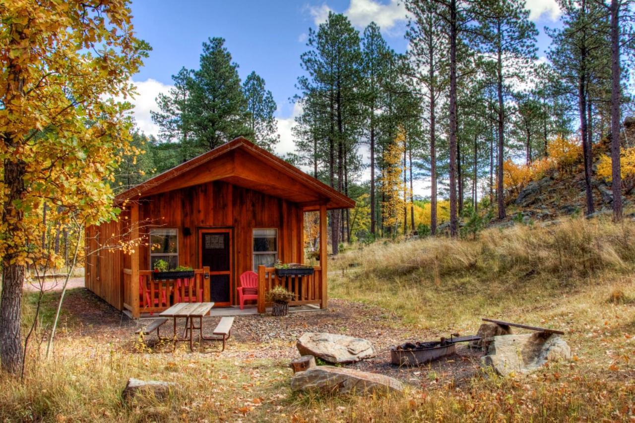 奇斯顿Yak Ridge Cabins And Farmstead By Mount Rushmore别墅 外观 照片