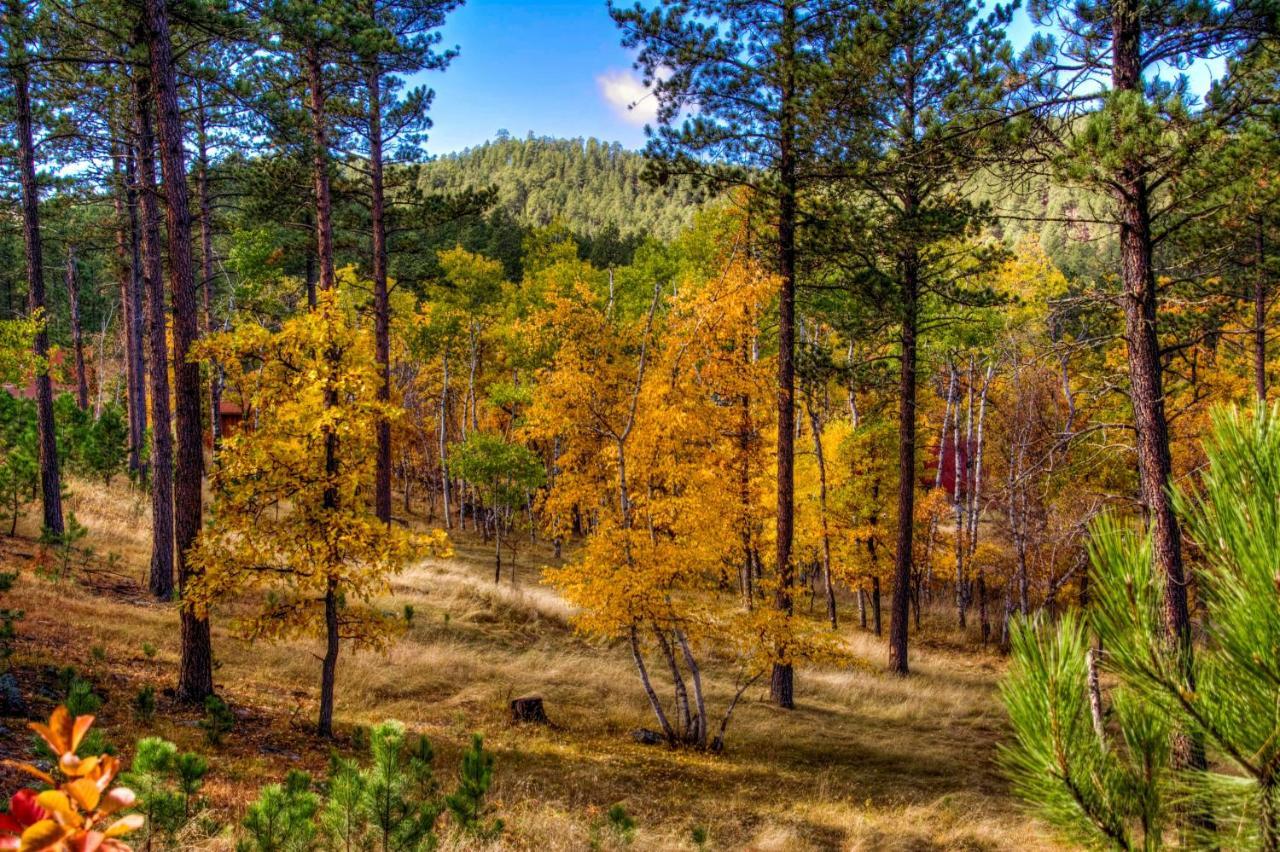 奇斯顿Yak Ridge Cabins And Farmstead By Mount Rushmore别墅 外观 照片
